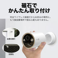 TP-LINK フルワイヤレスセキュリティカメラ TapoC460 1台
