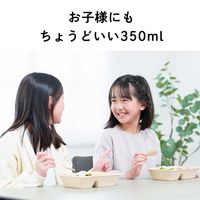 伊藤園 おーいお茶 緑茶・ピュアグリーン・ほうじ茶・玄米茶 ポケッティボトル 350ml 4種×6本 ペットボトル アソートセット