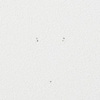 無印良品 壁に付けられる家具ミラー オーク材 中 良品計画（わけあり品）