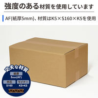 ノーブランド 底面B4 100サイズ ダンボール CB04-0010-AS 4573639424203 1セット(10枚入)（直送品）