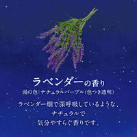 花王　バブ 発泡入浴剤  ナイトアロマ　282941　1箱（12錠入）（わけあり品）