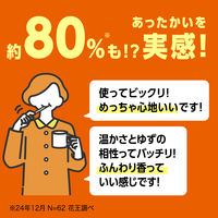 歯磨き粉 フッ素 ディープクリーン 温感ハミガキ 45g 花王