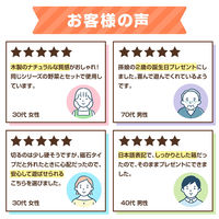 アーテック 木製おままごとセット くだもの ラッピング袋付き 21720 1袋（直送品）