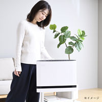 YAMAZEN 大風量セラミックヒーター パネル型 温度/人感センサー 切タイマー ワイド 1200W DSF-SP12(W) 1台