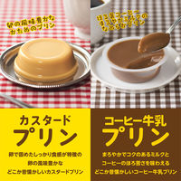 プリン 個包装 お配り菓子 コーヒー牛乳プリン 4個入 1セット（1袋×10）
