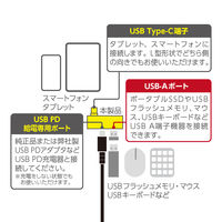 ナカバヤシ TypeーC ホストアダプタ PD対応 ブラック SAD-CH06PBK 1個