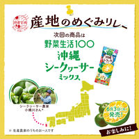 カゴメ 野菜生活100 愛媛キウイミックス 195ml 1箱（24本入）