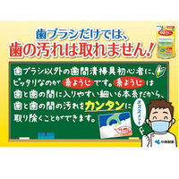 生葉（しょうよう） 歯槽膿漏を防ぐ 薬用ハミガキ ハーブミント味 100ｇ 小林製薬 歯磨き粉