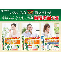生葉（しょうよう）極幅ブラシ レギュラーヘッド ふつう 小林製薬 歯ブラシ 歯周病 歯槽膿漏
