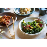 丸利玉樹利喜蔵商店 プレート 23cm L AirStack エアスタック 磁器 美濃焼 ホワイト 423205 1個（直送品）