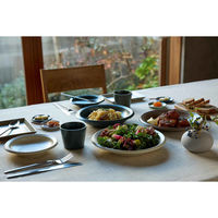 丸利玉樹利喜蔵商店 プレート 16cm M AirStack エアスタック 磁器 美濃焼 ホワイト 423204 1個（直送品）