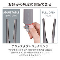 ストレート ヘアアイロン 25mm シルクコーティング プロテクトイオン スモーキーグレー NIS500B-H テスコム 1個（直送品）