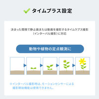 サンワサプライ バッテリー内蔵小型トレイルカメラ CMS-SC10BK 1台