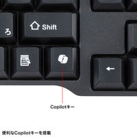 サンワサプライ Bluetoothキーボード SKB-BT40BK 1個