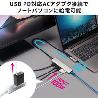 サンワサプライ 8K対応 USB TypeーC ドッキングステーション USB-DKM9S 1個