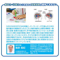 カワダ パーラービーズ サンリオキャラクターズ 80-57245 1個