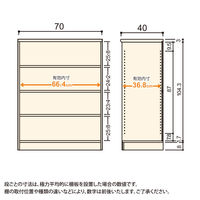 大洋 Shelfit Shelfit エースラック 幅700×奥行400×高さ1170mm AR1270MD(NA) 1台（直送品）