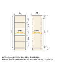 大洋 Shelfit Shelfit エースラック 幅500×奥行460×高さ1499mm AR1550D(NA) 1台（直送品）