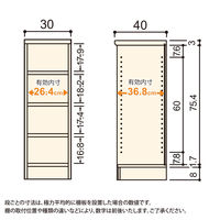 大洋 Shelfit Shelfit エースラック 幅300×奥行400×高さ881mm AR9030MD(NA) 1台（直送品）