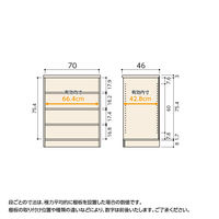 大洋 Shelfit Shelfit エースラック 幅700×奥行460×高さ881mm AR9070D(NA) 1台（直送品）