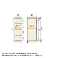 大洋 Shelfit Shelfit エースラックタフ 幅300×奥行460×高さ1170mm ARタフ1230D(NA) 1台（直送品）