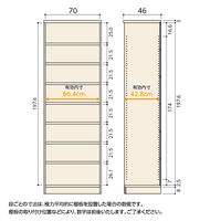 大洋 Shelfit Shelfit エースラックタフ 幅700×奥行460×高さ2111mm ARタフ2170D(NA) 1台（直送品）