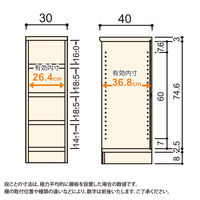 大洋 Shelfit Shelfit エースラックタフ 幅300×奥行400×高さ881mm ARタフ9030MD(NA) 1台（直送品）