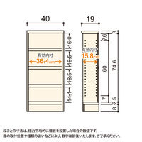 大洋 Shelfit Shelfit エースラックタフ 幅400×奥行190×高さ881mm ARタフ9040S(NA) 1台（直送品）