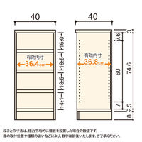 大洋 Shelfit Shelfit エースラックタフ 幅400×奥行400×高さ881mm ARタフ9040MD(NA) 1台（直送品）
