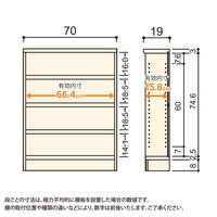 大洋 Shelfit Shelfit エースラックタフ 幅700×奥行190×高さ881mm ARタフ9070S(NA) 1台（直送品）