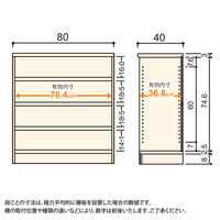 大洋 Shelfit Shelfit エースラックタフ 幅800×奥行400×高さ881mm ARタフ9080MD(NA) 1台（直送品）