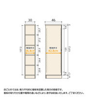 大洋 Shelfit Shelfit カラーラック 幅300×奥行460×高さ1499mm NC1530D(DB) 1台（直送品）