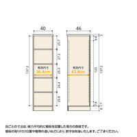 大洋 Shelfit Shelfit カラーラック 幅400×奥行460×高さ1499mm NC1540D(BR) 1台（直送品）