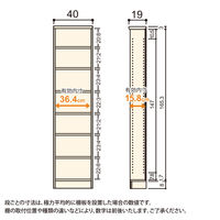 大洋 Shelfit Shelfit カラーラック 幅400×奥行190×高さ1780mm ホワイト NC1840S(WH) 1台（直送品）