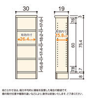 大洋 Shelfit Shelfit カラーラック 幅300×奥行190×高さ881mm ホワイト NC9030S(WH) 1台（直送品）