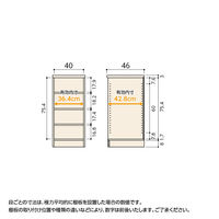 大洋 Shelfit Shelfit カラーラック 幅400×奥行460×高さ881mm NC9040D(LN) 1台（直送品）