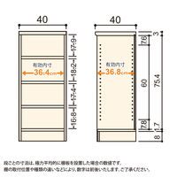 大洋 Shelfit Shelfit カラーラック 幅400×奥行400×高さ881mm NC9040MD(BR) 1台（直送品）