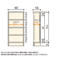 大洋 Shelfit Shelfit カラーラック 幅400×奥行190×高さ881mm ホワイト NC9040S(WH) 1台（直送品）