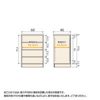 大洋 Shelfit Shelfit カラーラック 幅600×奥行460×高さ881mm NC9060D(WH) 1台（直送品）