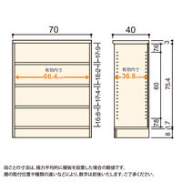 大洋 Shelfit Shelfit カラーラック 幅700×奥行400×高さ881mm NC9070MD(WH) 1台（直送品）
