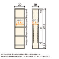 大洋 Shelfit Shelfit カラーラックタフ 幅300×奥行190×高さ1170mm NCタフ1230S(WH) 1台（直送品）