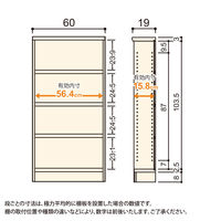 大洋 Shelfit Shelfit カラーラックタフ 幅600×奥行190×高さ1170mm NCタフ1260S(DB) 1台（直送品）