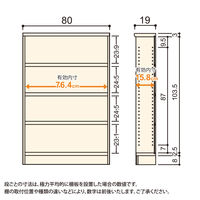 大洋 Shelfit Shelfit カラーラックタフ 幅800×奥行190×高さ1170mm NCタフ1280S(DB) 1台（直送品）