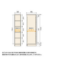 大洋 Shelfit Shelfit カラーラックタフ 幅300×奥行460×高さ1499mm NCタフ1530D(LN) 1台（直送品）