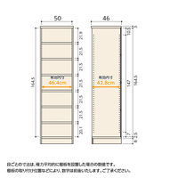 大洋 Shelfit Shelfit カラーラックタフ 幅500×奥行460×高さ1780mm NCタフ1850D(DB) 1台（直送品）