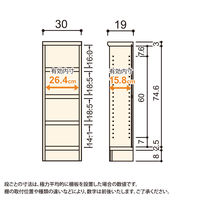 大洋 Shelfit カラーラックタフ 幅300×奥行190×高さ881mm NCタフ9030S(LN) 1台（直送品）