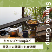 切れているまな板シート 29cm×20cm 1セット（1箱（20枚入）×5）大日産業