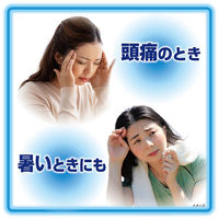 熱さまシート 大人用 小林製薬 1セット(80枚：16枚入×5箱) 冷却シート 発熱 冷却用品 保冷 ひんやりグッズ