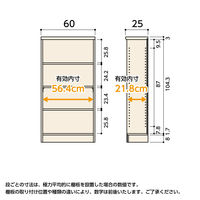 大洋 Shelfit エースラック 幅600×奥行250×高さ1170mm スタンダードナチュラル AR1260SR(NA) 1台（直送品）