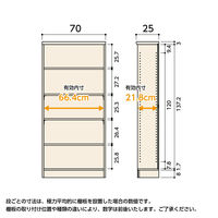 大洋 Shelfit カラーラック 幅700×奥行250×高さ1499mm ライトナチュラル NC1570SR(LN) 1台（直送品）
